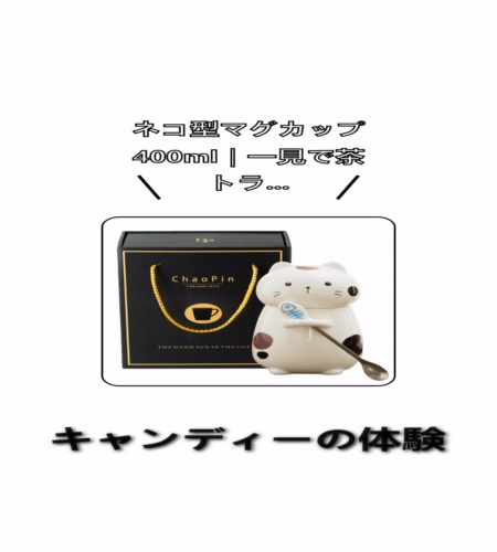 実物検証