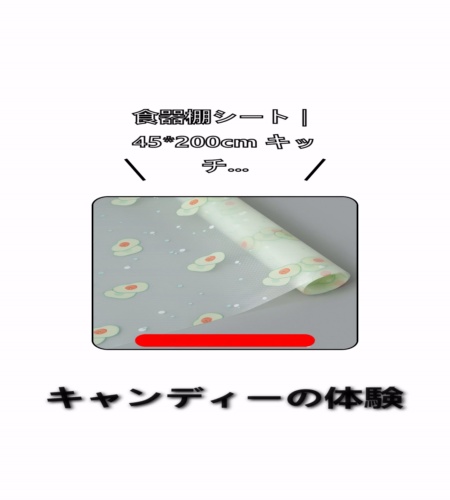 実物検証