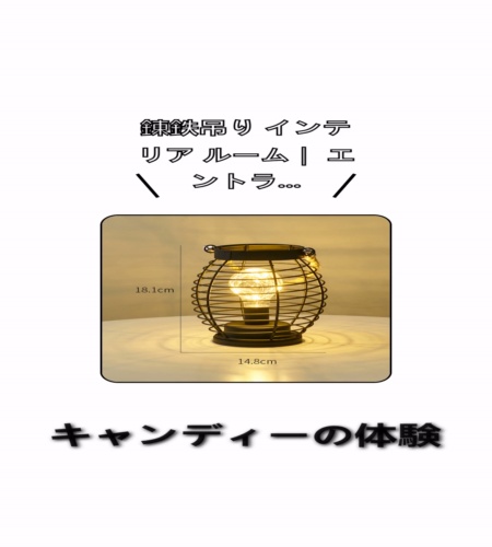 実物検証