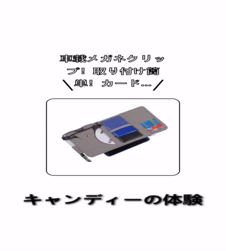 実物検証