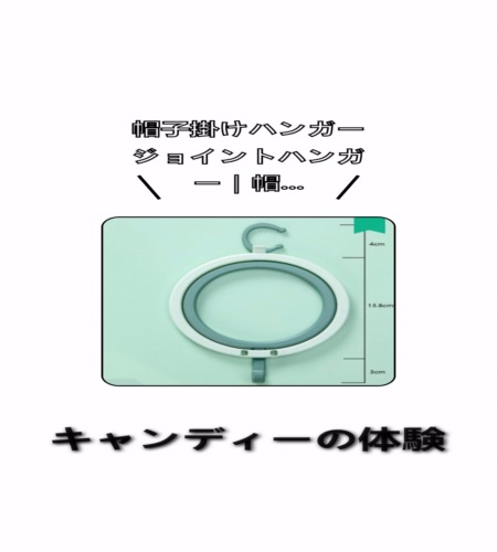 実物検証