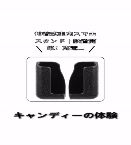 実物検証