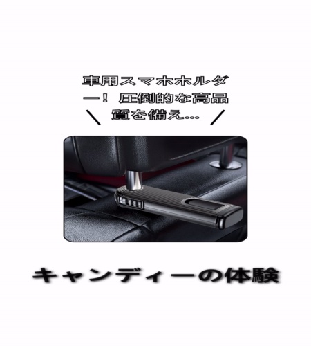 実物検証