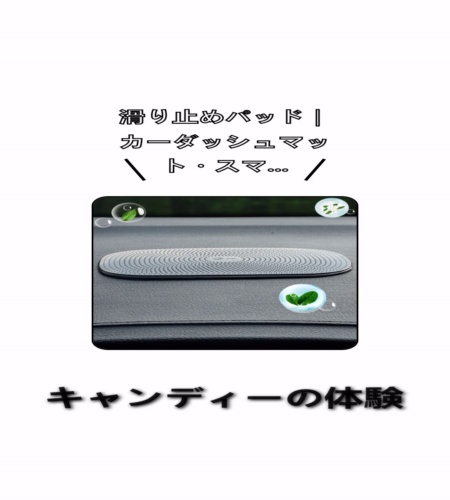 実物検証