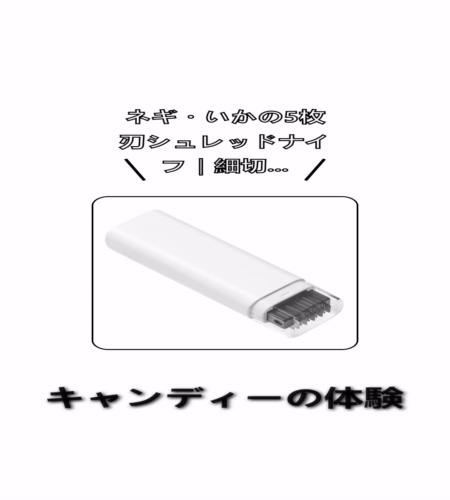 実物検証