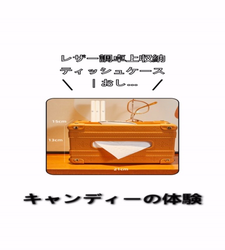 実物検証