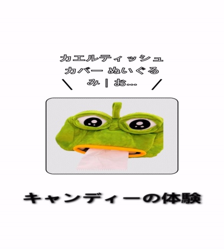 実物検証