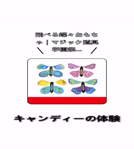 実物検証