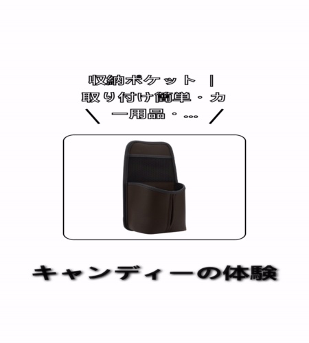 実物検証
