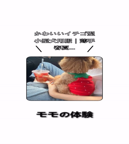実物検証
