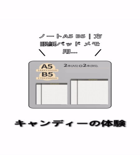 実物検証