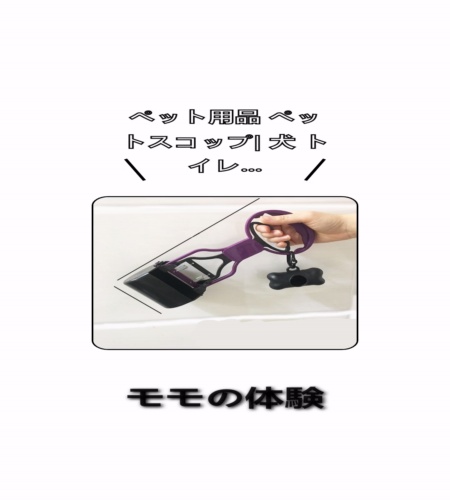 実物検証