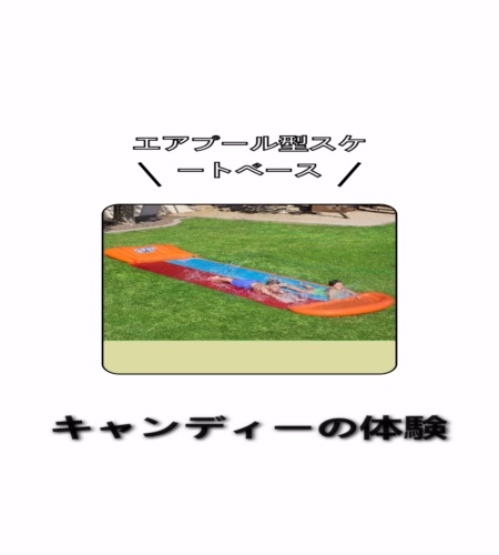 実物検証