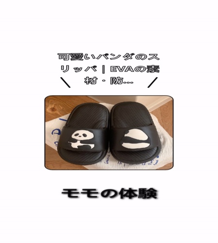 実物検証