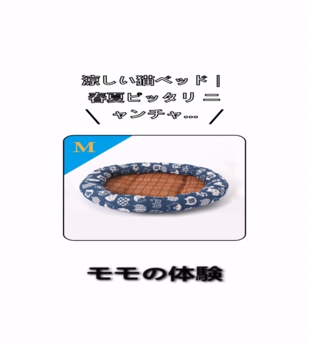 実物検証