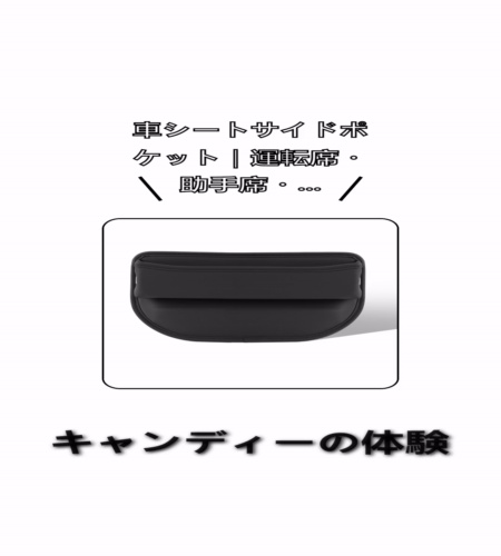 実物検証
