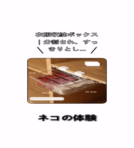 実物検証