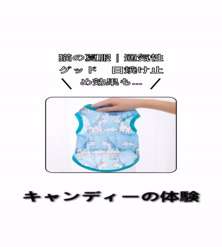 実物検証