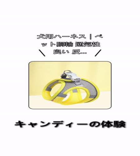 実物検証