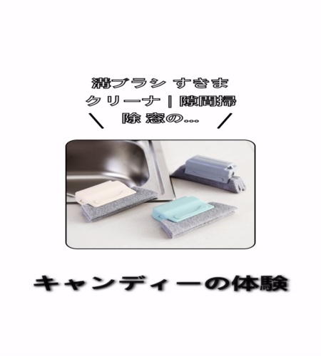 実物検証