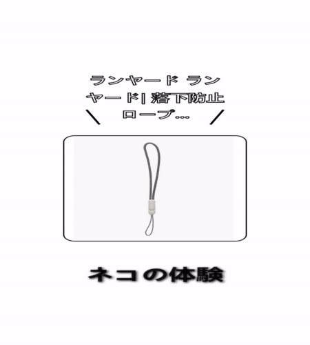 実物検証