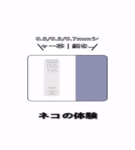 実物検証