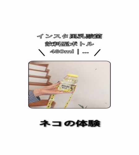 実物検証
