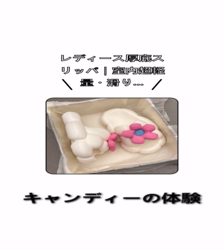 実物検証