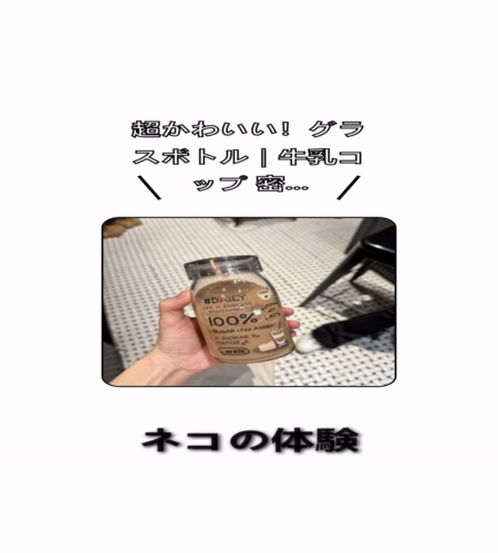 実物検証