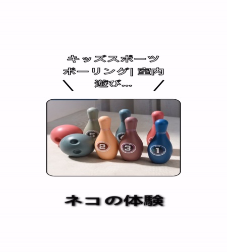実物検証