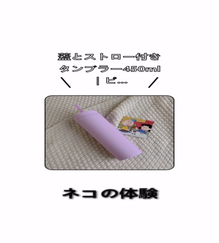 実物検証