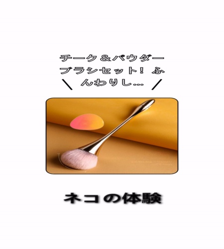 実物検証