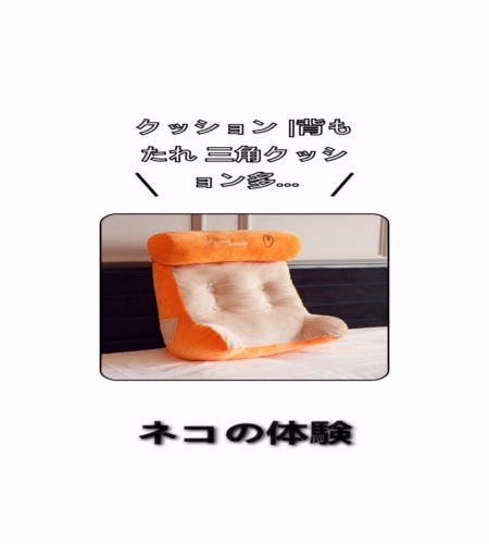 実物検証