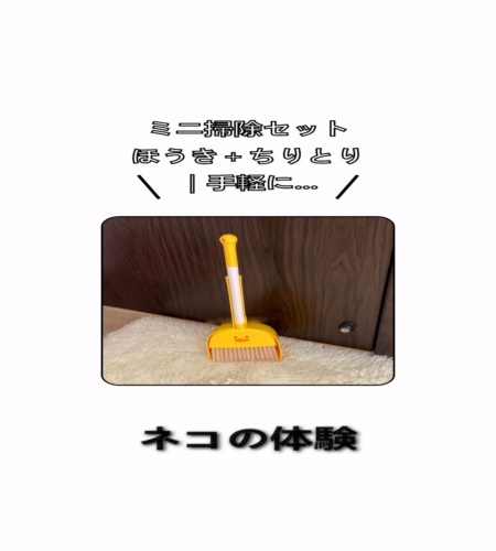 実物検証