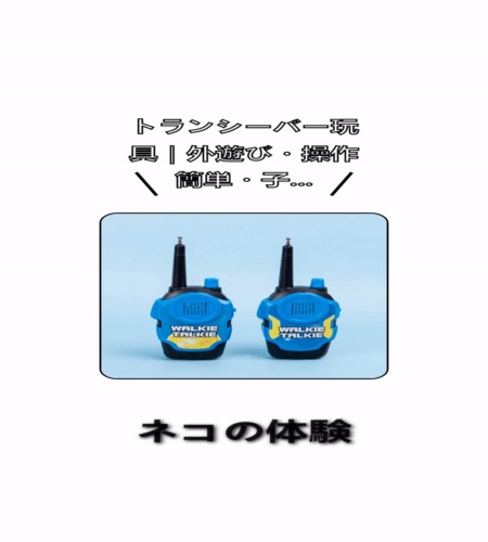 実物検証