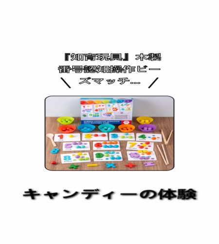 実物検証