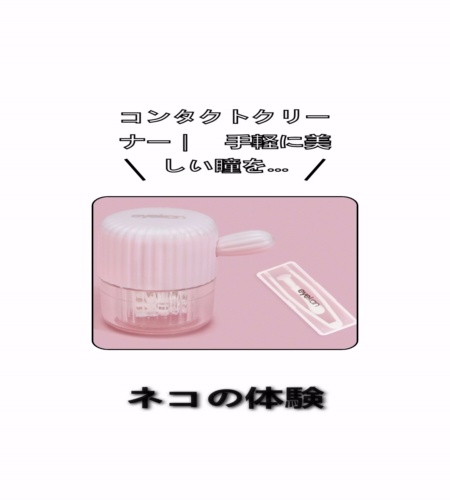 実物検証