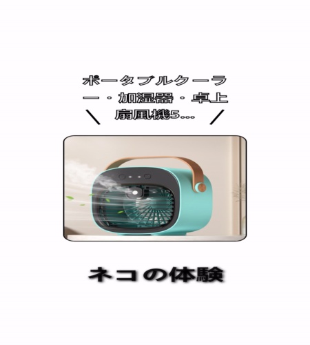 実物検証
