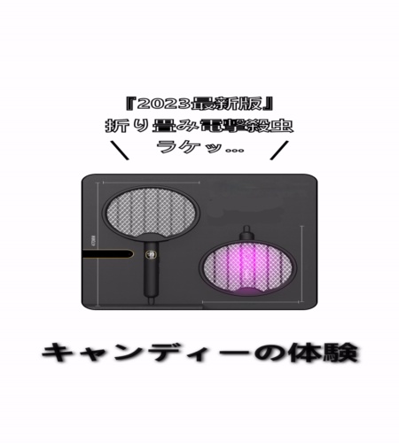 実物検証