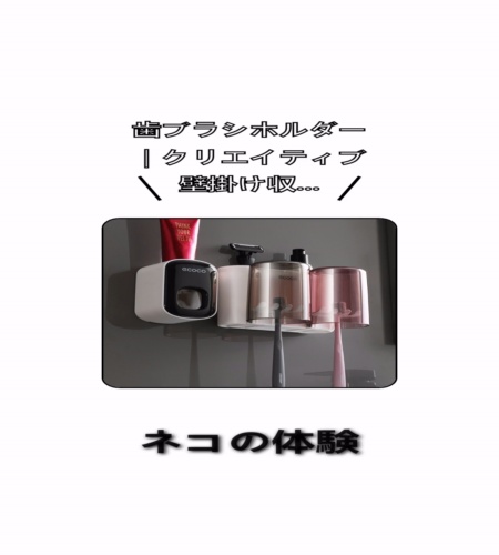 実物検証