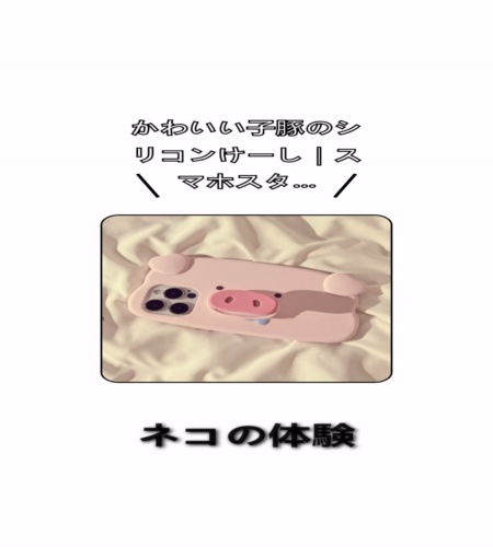 実物検証