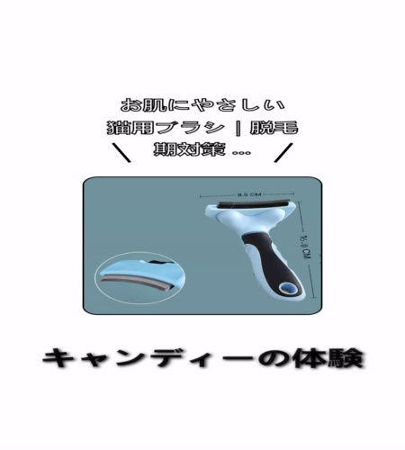 実物検証