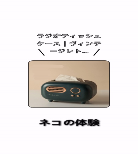 実物検証