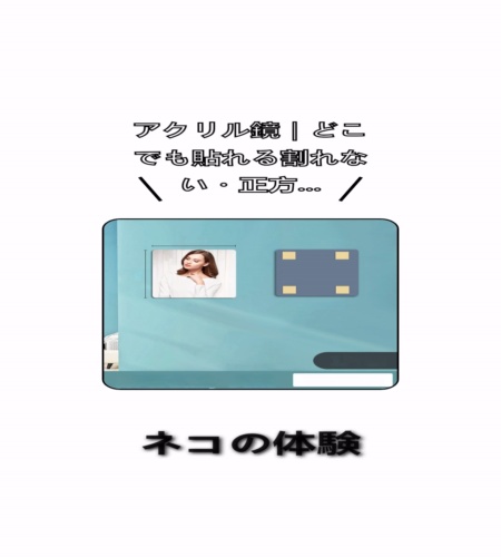 実物検証