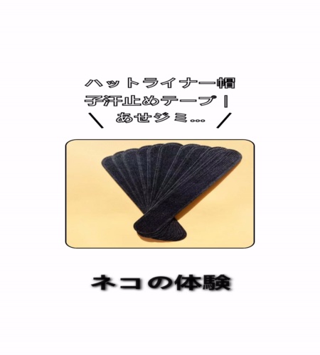 実物検証