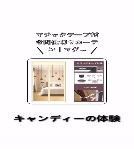 実物検証
