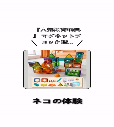 実物検証