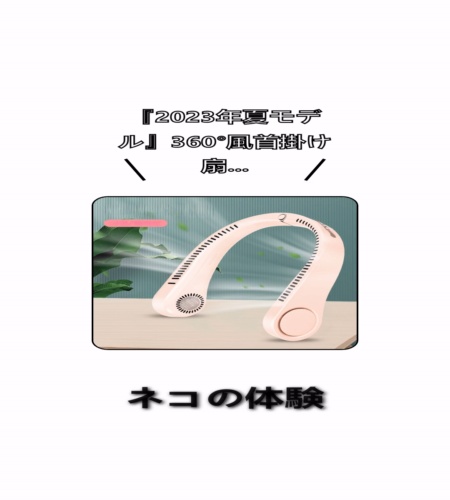 実物検証