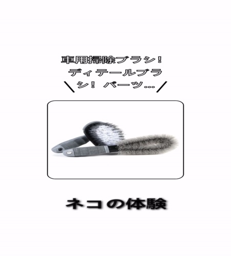 実物検証