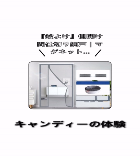 実物検証